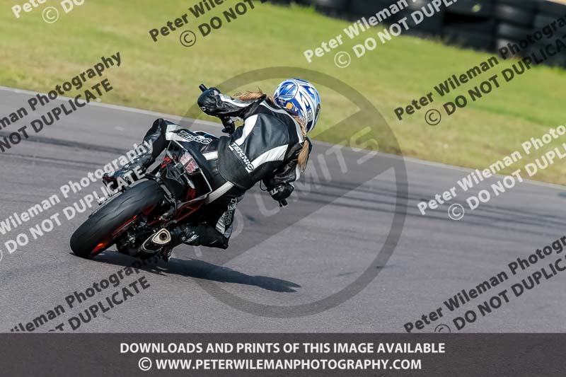 PJ Motorsport 2019;anglesey no limits trackday;anglesey photographs;anglesey trackday photographs;enduro digital images;event digital images;eventdigitalimages;no limits trackdays;peter wileman photography;racing digital images;trac mon;trackday digital images;trackday photos;ty croes